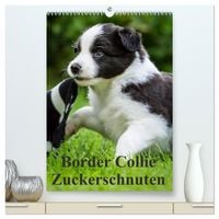 Produktbild: Border Collie Zuckerschnuten (hochwertiger Premium Wandkalender 2026 DIN A2 hoch), Kunstdruck in Hochglanz