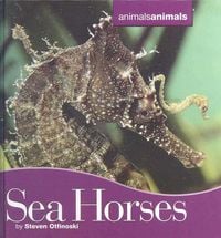 Produktbild: Seahorses