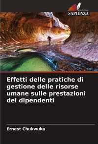 Produktbild: Effetti delle pratiche di gestione delle risorse umane sulle prestazioni dei dipendenti