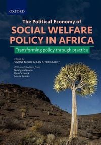 Produktbild: The Political Economy of Social Welfare Policy in Africa