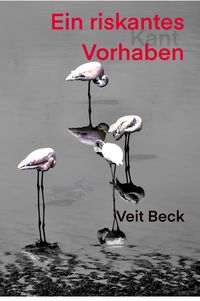 Produktbild: Ein riskantes Vorhaben