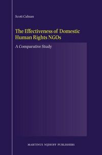 Produktbild: The Effectiveness of Domestic Human Rights NGOs
