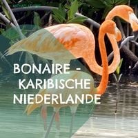 Produktbild: Bonaire - Karibische Niederlande