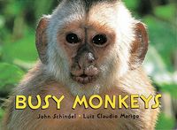 Produktbild: Schindel, J: Busy Monkeys