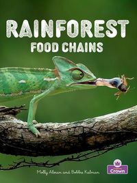 Produktbild: Rainforest Food Chains