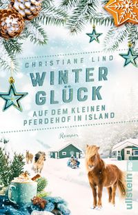 Winterglück auf dem kleinen Pferdehof in Island von Christiane Lind