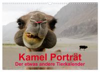 Produktbild: Kamel Portr&auml;t (Wandkalender 2027 DIN A3 quer), CALVENDO Monatskalender