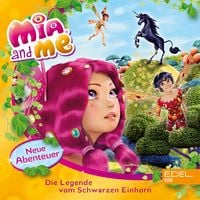 Produktbild: Folge 4: Die Legende vom Schwarzen Einhorn (Das Original-H&ouml;rspiel zum Buch)