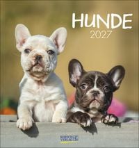 Produktbild: Hunde 2027