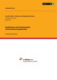 Produktbild: Funktionale und instrumentale Unternehmensorganisation