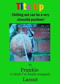 Produktbild: Tits Up (Fun and Fantasy, #14)
