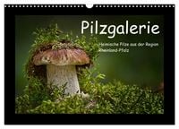 Produktbild: Pilzgalerie - Heimische Pilze aus der Region Rheinland-Pfalz (Wandkalender 2027 DIN A3 quer), CALVENDO Monatskalender