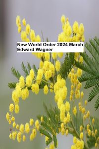 Produktbild: New World Order - 2024 March