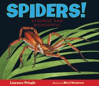 Produktbild: Pringle, L: Spiders!