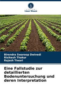 Produktbild: Eine Fallstudie zur detaillierten Bodenuntersuchung und deren Interpretation