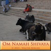 Bild vom Artikel Om Namah Shivaya - 108 Mantras vom Autor Walter Berger