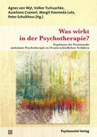 Produktbild: Was wirkt in der Psychotherapie?