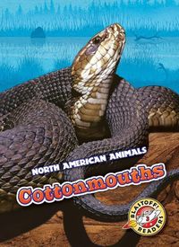 Produktbild: Cottonmouths