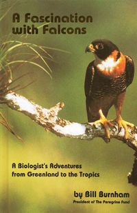 Produktbild: Burnham, B: Fascination with Falcons