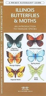 Produktbild: Illinois Butterflies & Moths