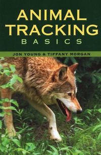 Bild vom Artikel Animal Tracking Basics vom Autor Tiffany Morgan