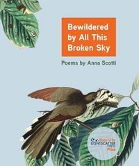 Produktbild: Bewildered by All This Broken Sky