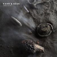 Produktbild: FABRICLIVE 90: Kahn & Neek