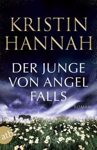 Produktbild: Der Junge von Angel Falls