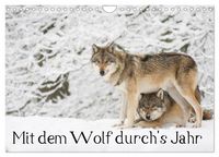 Produktbild: Mit dem Wolf durch's Jahr (Wandkalender 2027 DIN A4 quer), CALVENDO Monatskalender