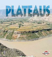 Produktbild: Anderson, S: Plateaus