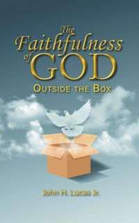 Produktbild: The Faithfulness of God Outside the Box