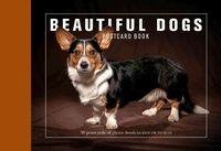 Produktbild: Beautiful Dogs Postcard Bk