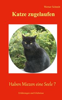 Produktbild: Katze zugelaufen