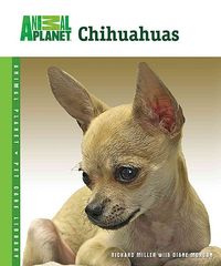 Produktbild: Chihuahuas