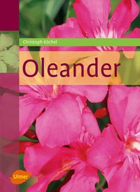 Produktbild: Oleander