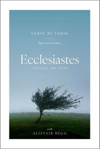 Produktbild: Ecclesiastes - Chasing the Wind