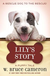 Produktbild: Lily's Story