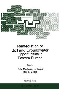Produktbild: Remediation of Soil and Groundwater