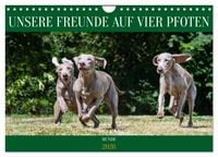 Produktbild: Unsere Freunde auf vier Pfoten - Hunde (Wandkalender 2026 DIN A4 quer), CALVENDO Monatskalender
