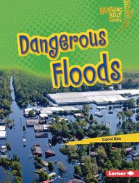 Produktbild: Dangerous Floods