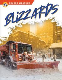 Produktbild: Blizzards