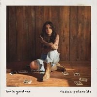 Produktbild: Faded Polaroids (Opaque Brown 2LP)