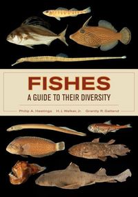 Produktbild: Hastings, P: Fishes: A Guide to Their Diversity