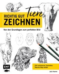 Produktbild: Richtig gut zeichnen &ndash; Tiere