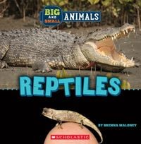 Produktbild: Reptiles (Wild World: Big and Small Animals)