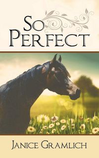 Produktbild: So Perfect