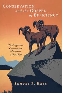 Produktbild: Conservation and the Gospel of Efficiency