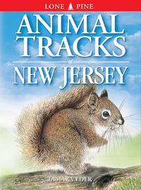 Produktbild: Animal Tracks of New Jersey