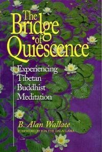 Bild vom Artikel Bridge of Quiescence: Experiencing Tibetan Buddhist Meditation vom Autor B. Alan Wallace
