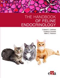 Produktbild: Feline endocrinology